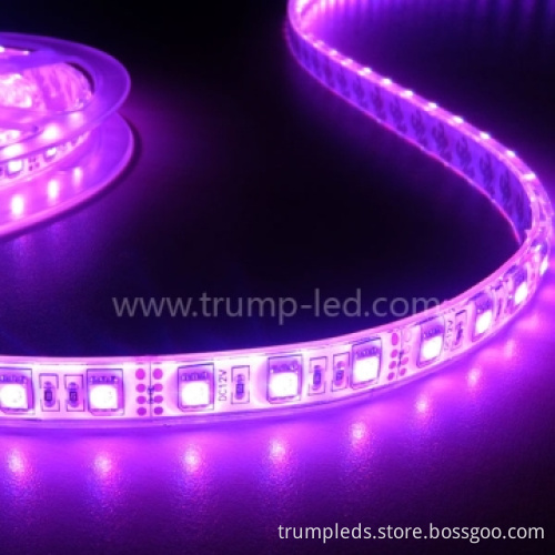 Top Quality Battery Operated Magic LED Strip 5050 Waterproof